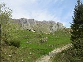 11-Ecco la Baita Campo